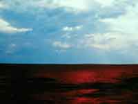 ���� ��������� ���: ����� ������