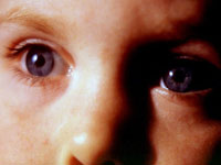 ������ ����������