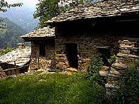 ��� ����� �������?