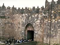 ����� �� �������!